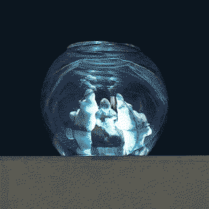 Initial Image