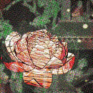 Hover Image